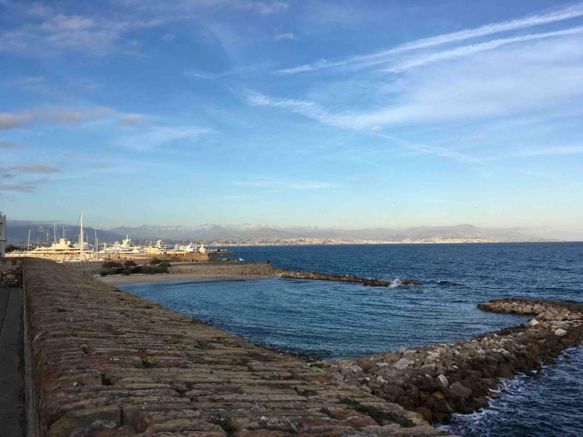 Beautiful One-Bedroom Apartment - Picasso 2 - Stayinantibes Eksteriør bilde